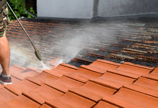  Holyoke, MA Pressure Washing Pros