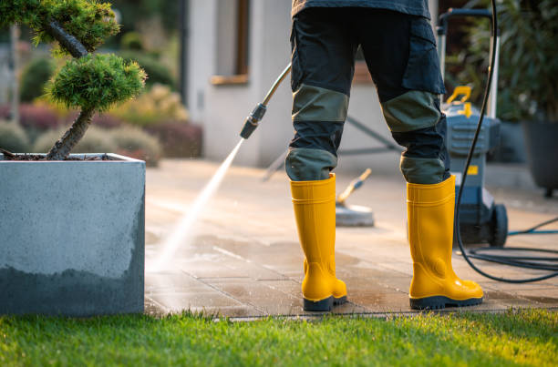 Best Roof Pressure Washing  in Holyoke, MA
